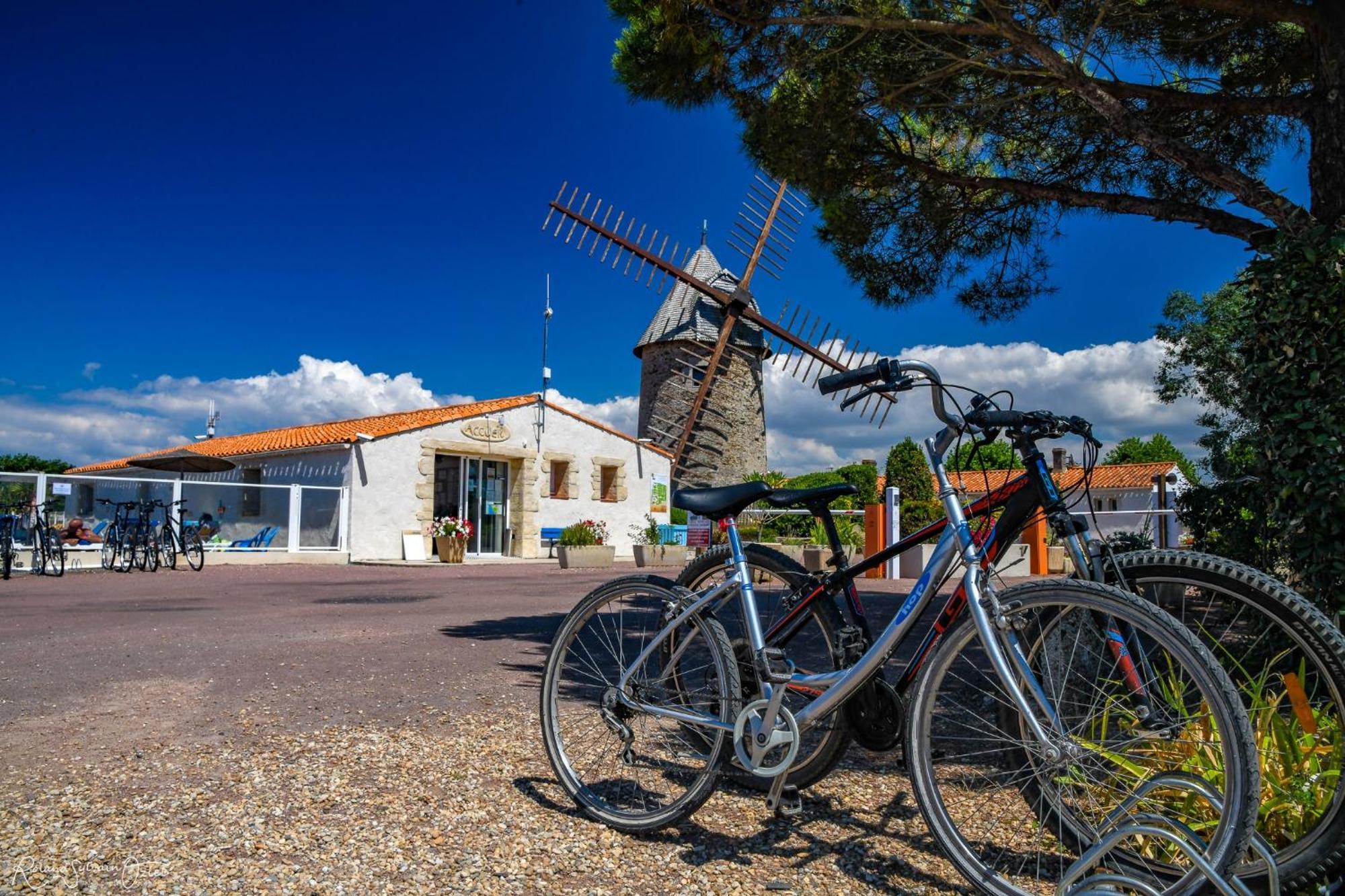 Camping Le Moulin De La Salle レ・サ​​ーブル・ドロンヌ エクステリア 写真